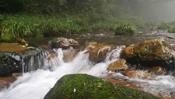 青道观点：会奖旅游与快乐的四种形态