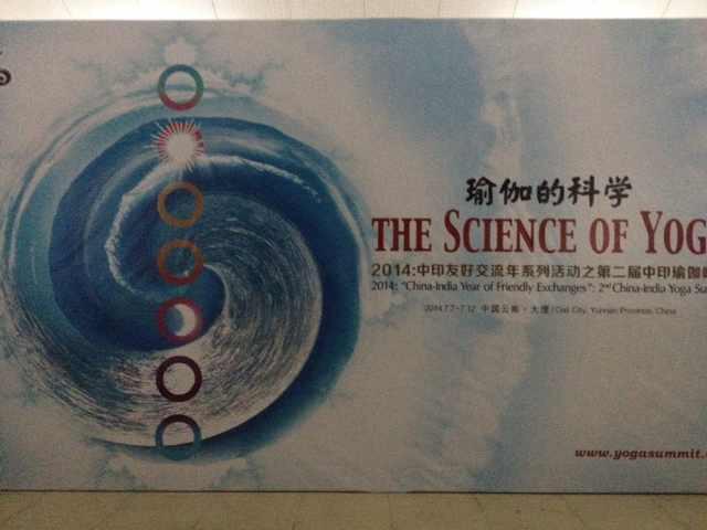 2014中印瑜珈大会