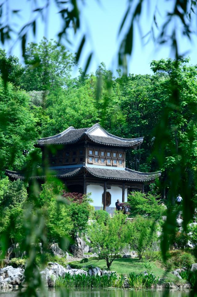 南京学宫旅游有限公司鸣羊街分公司（愚园景点）